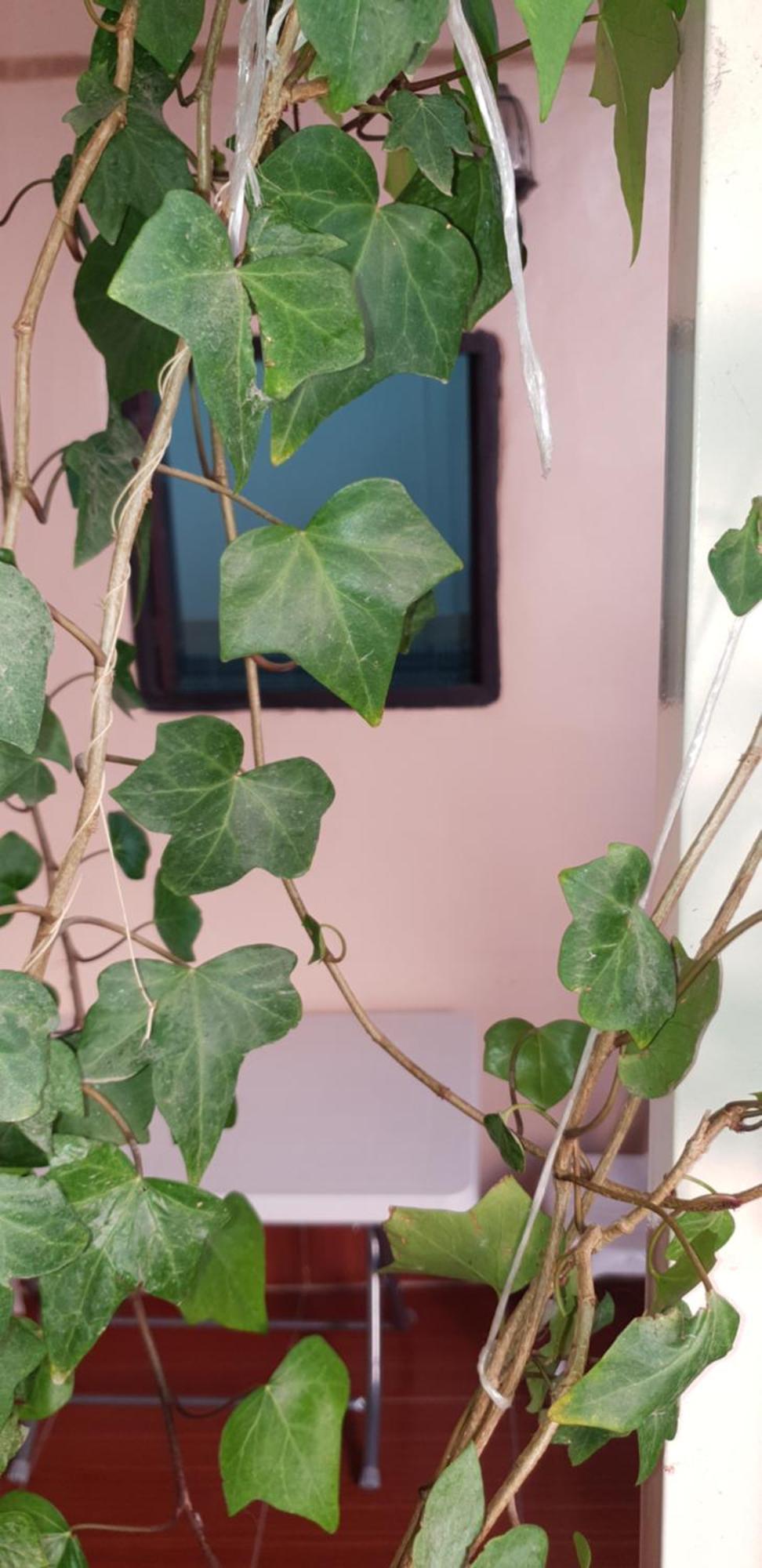 La Casa Espanyola Φεζ Εξωτερικό φωτογραφία